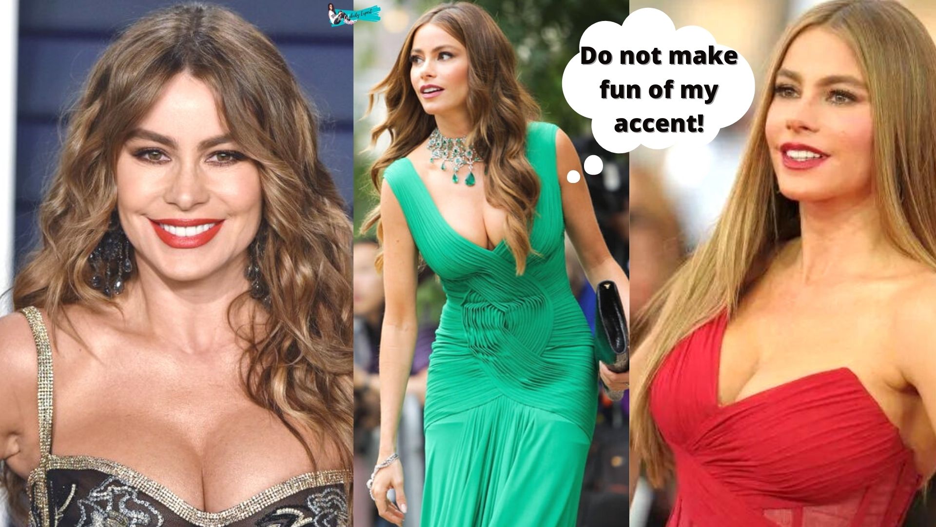 Sofia Vergara Savage Moments