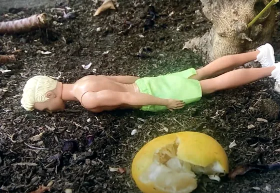 Gosling's picture of where he found a Ken doll in his backyard.