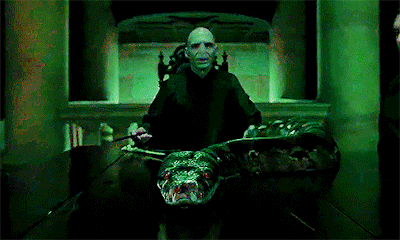 How Lord Voldemort Met Nagini in Harry Potter?