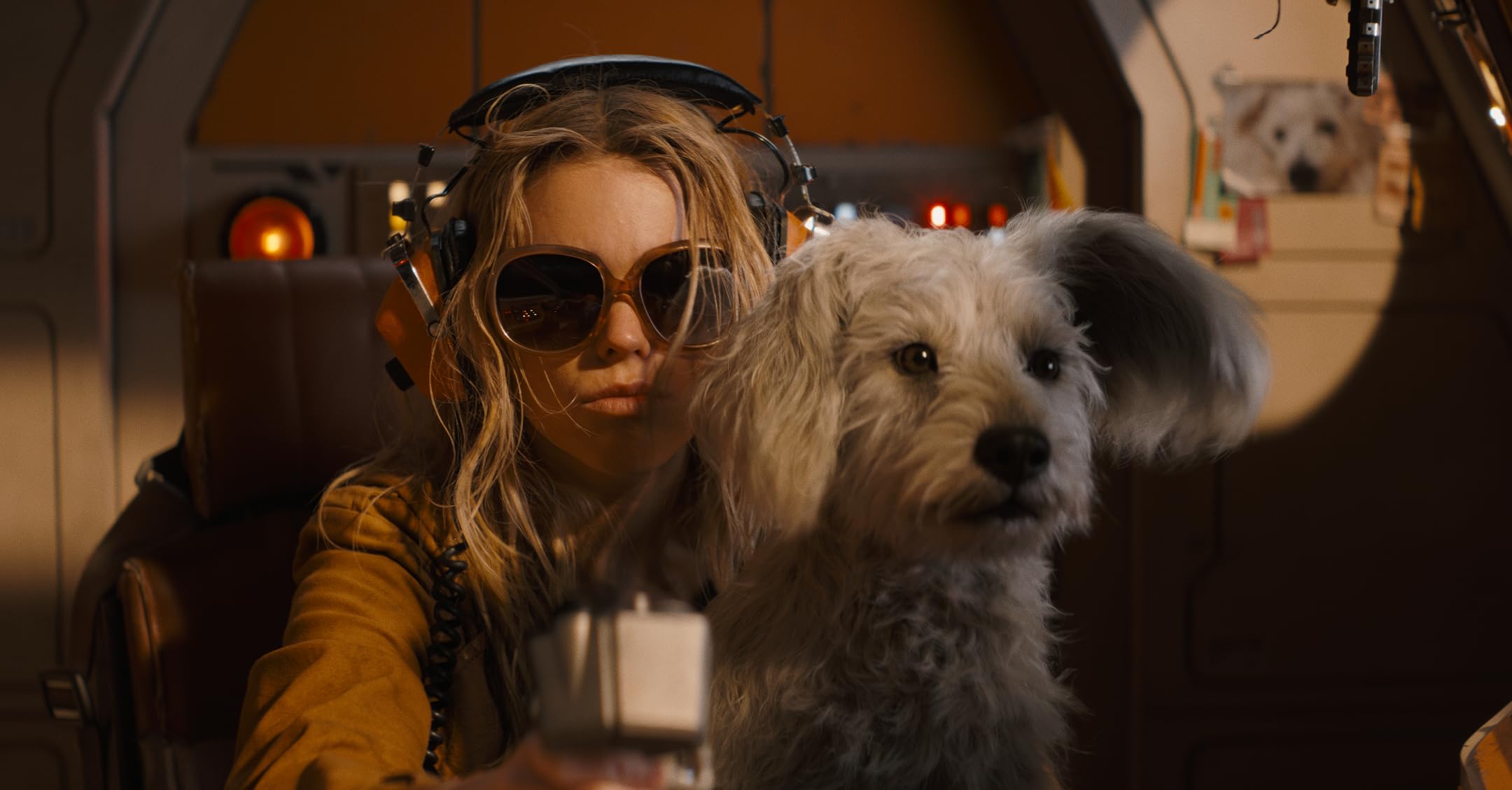 Piloting a plane with a fluffy white dog sitting close to the controls in the cockpit with the person wearing sunglasses and headphones.